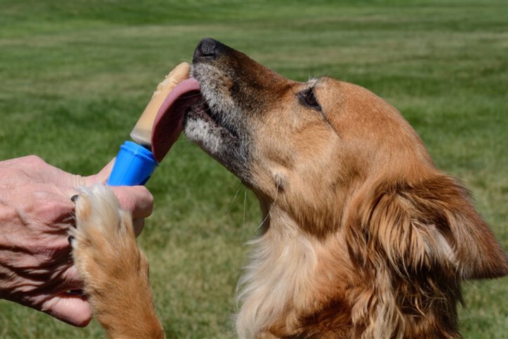 Homemade peanut butter and banana ice lollies for dogs