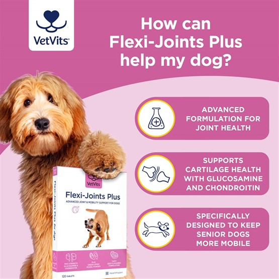 Flexi−Joints Plus for Dogs 