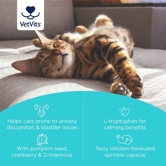 Bladder Support for Cats 