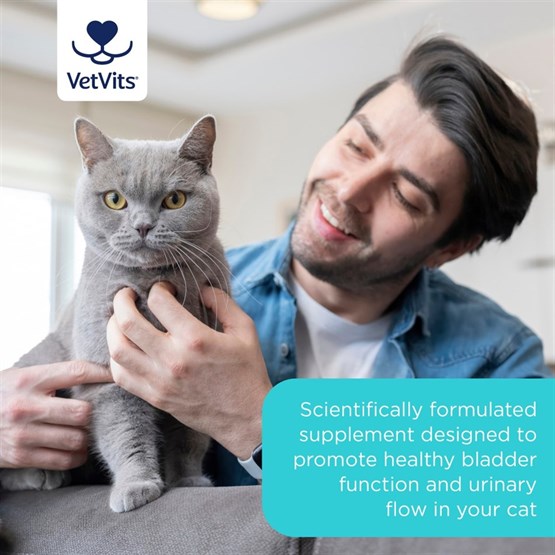 Bladder Support for Cats 