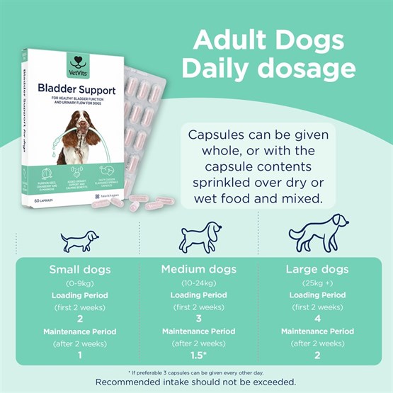 Bladder Support for Dogs 