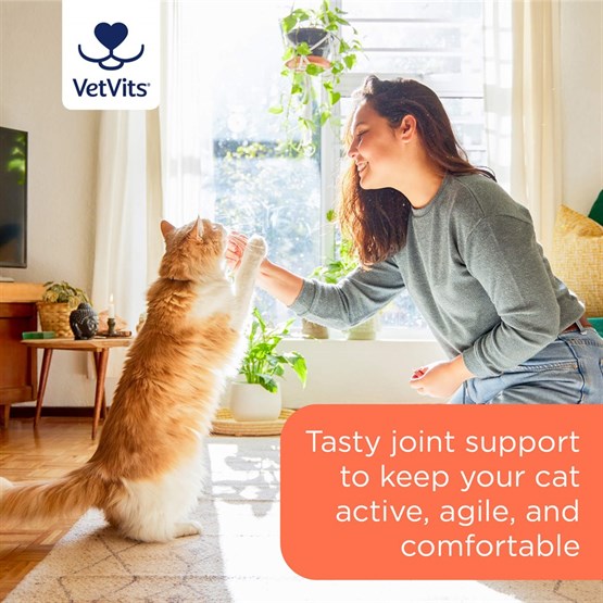 Flexi−Joints for Cats 