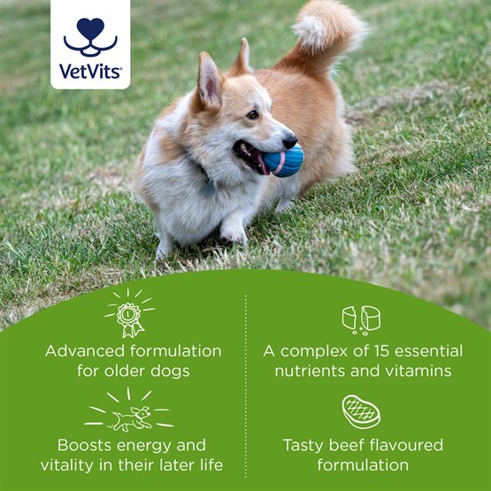 MultiVitality® Senior 