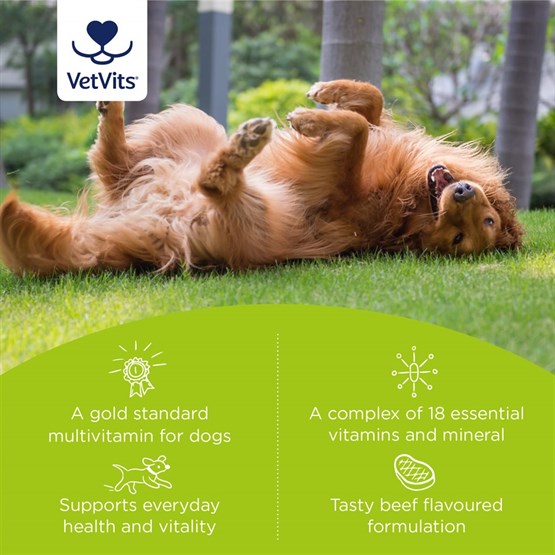 MultiVitality® for Dogs 