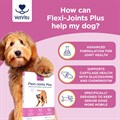 Flexi−Joints Plus for Dogs 