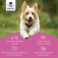 Flexi−Joints Plus for Dogs 