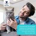 Bladder Support for Cats 