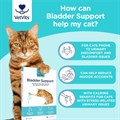 Bladder Support for Cats 