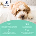Bladder Support for Dogs 