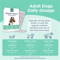 Bladder Support for Dogs 