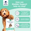 Bladder Support for Dogs 