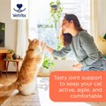 Flexi−Joints for Cats 