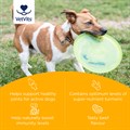 Flexi−Turmeric for Dogs 