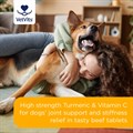 Flexi−Turmeric for Dogs 