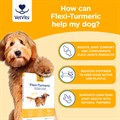 Flexi−Turmeric for Dogs 