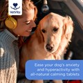 MagiCalm® for Dogs 