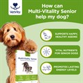 MultiVitality® Senior 