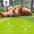 MultiVitality® for Dogs 