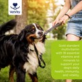 MultiVitality® for Dogs 