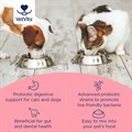 Pet Pro Digest 