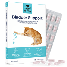 Bladder Support for Cats