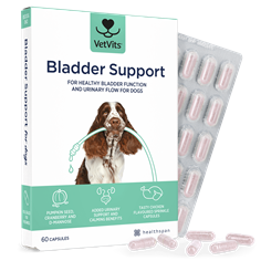 Bladder Support for Dogs